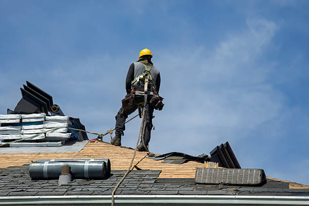 Professional Roofing technician working in Eckert, CO